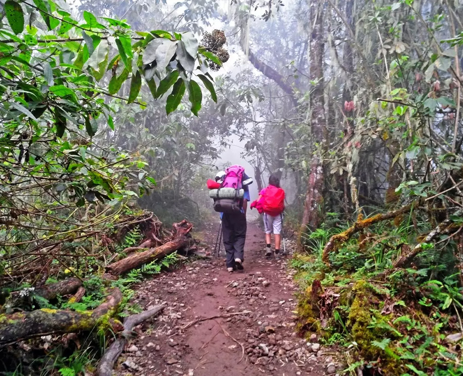 Moshi day hike