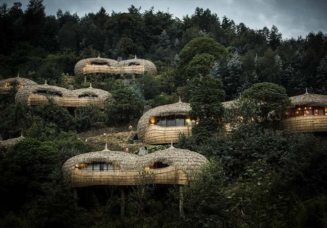 Rwanda Gorilla Trek Tours & Safari